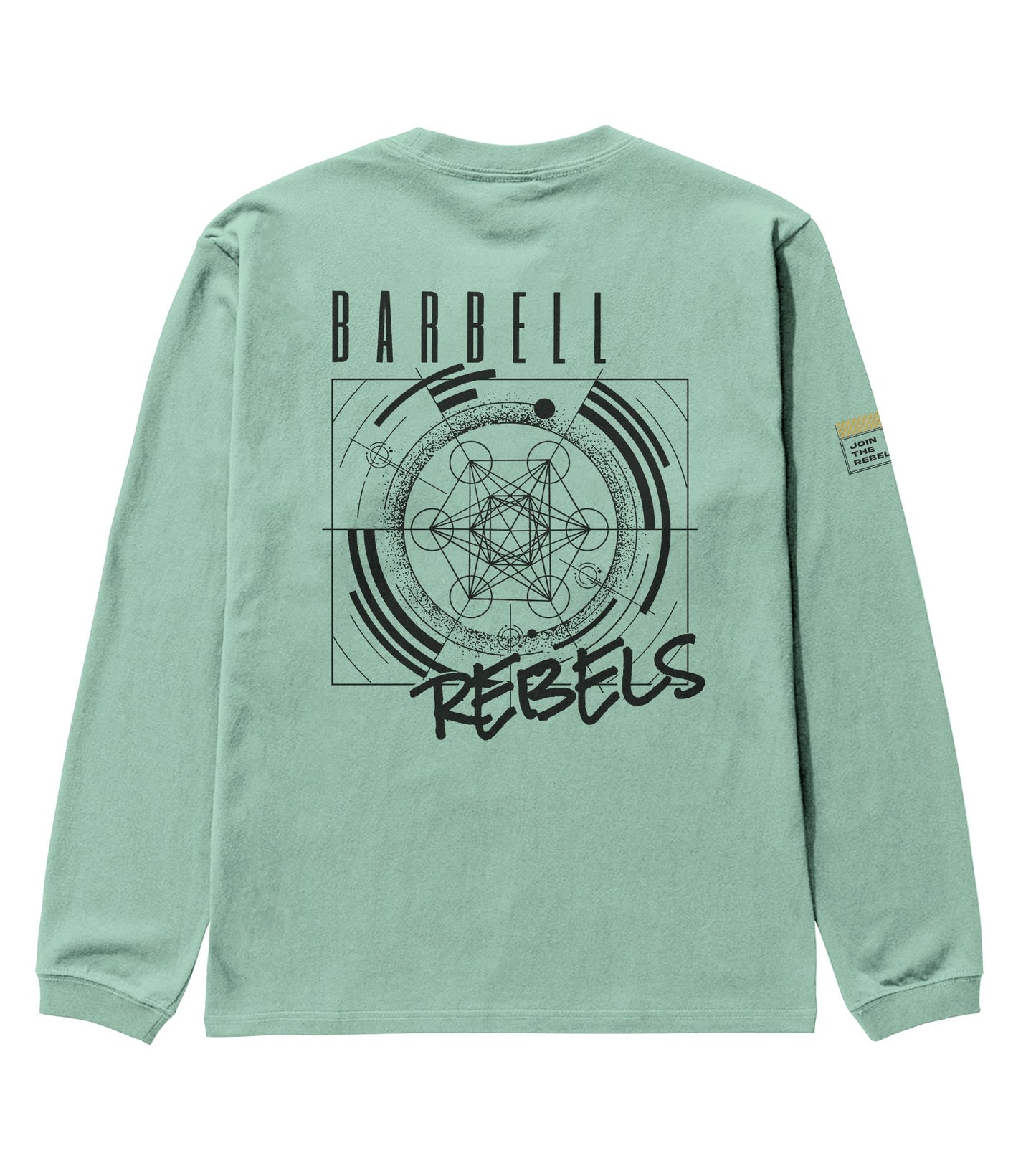 Oversized Deluxe Acid Longsleeves