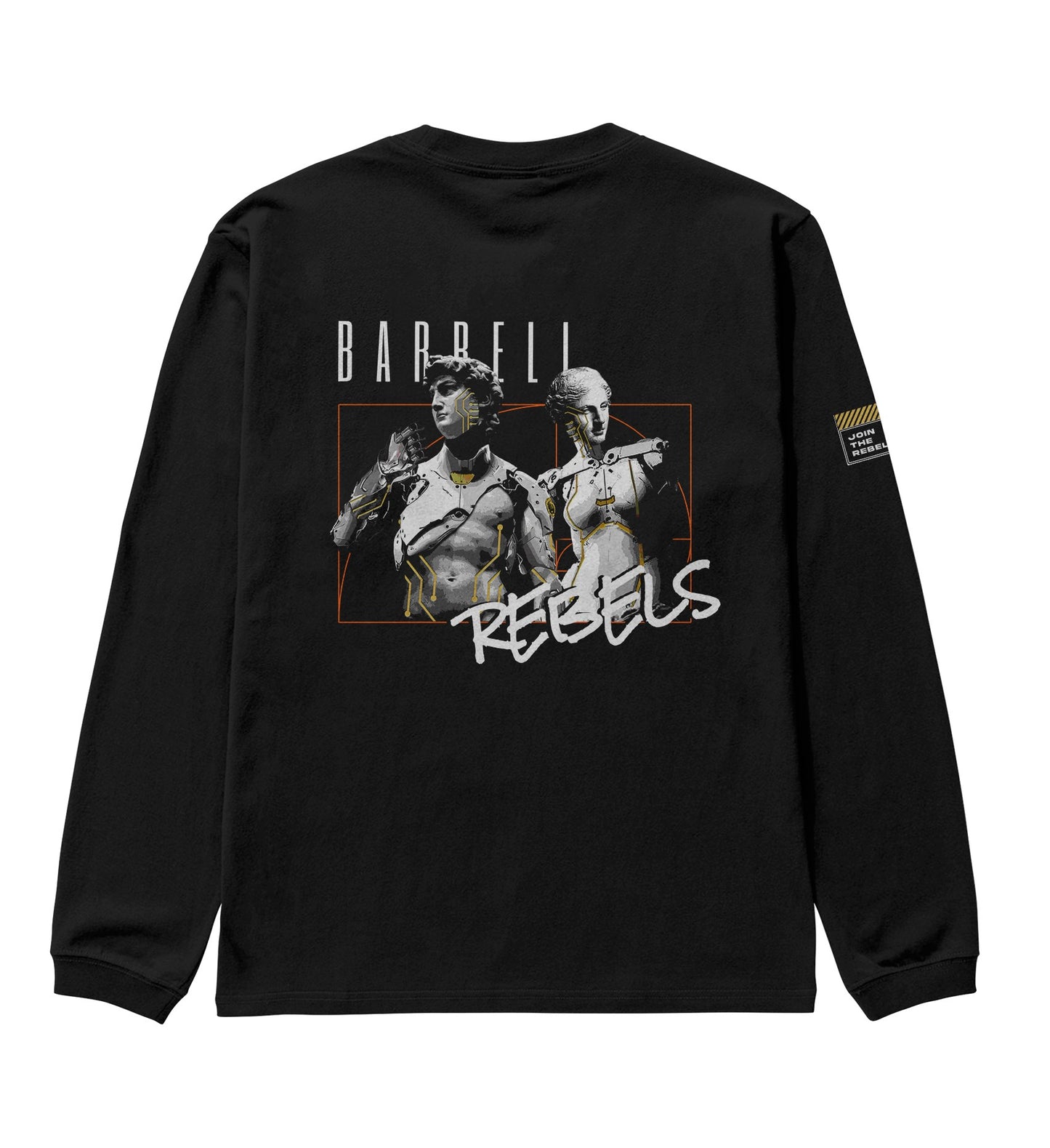 Oversized Deluxe Acid Longsleeves