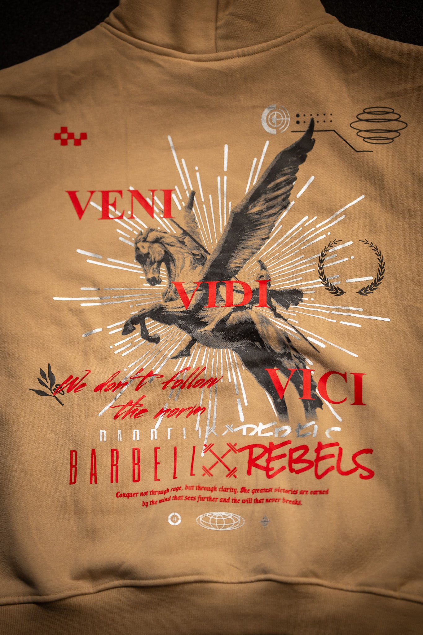 Oversized Deluxe Hoodie Olympus Collection