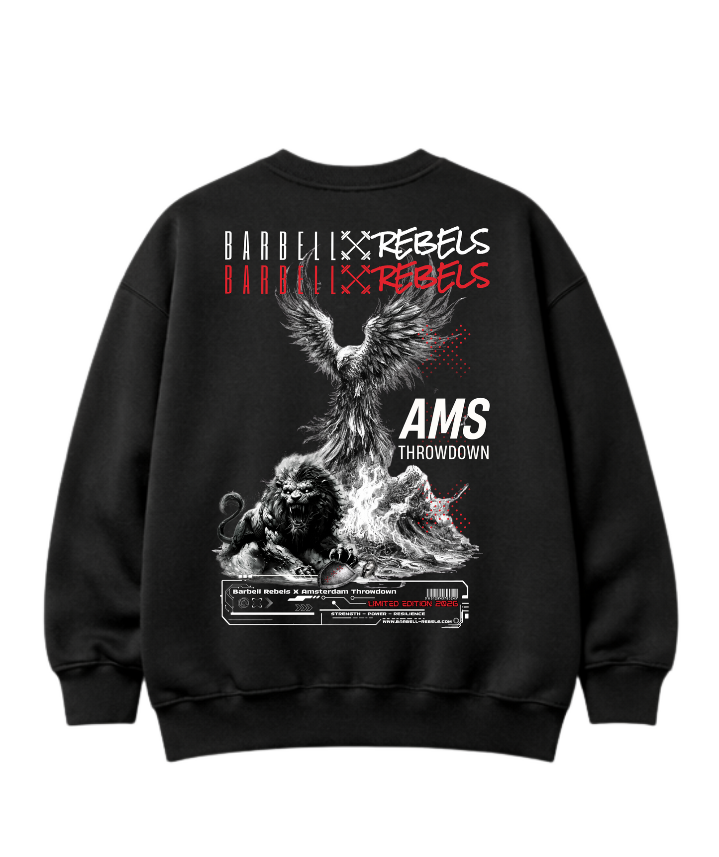 Amsterdam TD Ltd. Edt. 2026 Oversized Deluxe Sweater