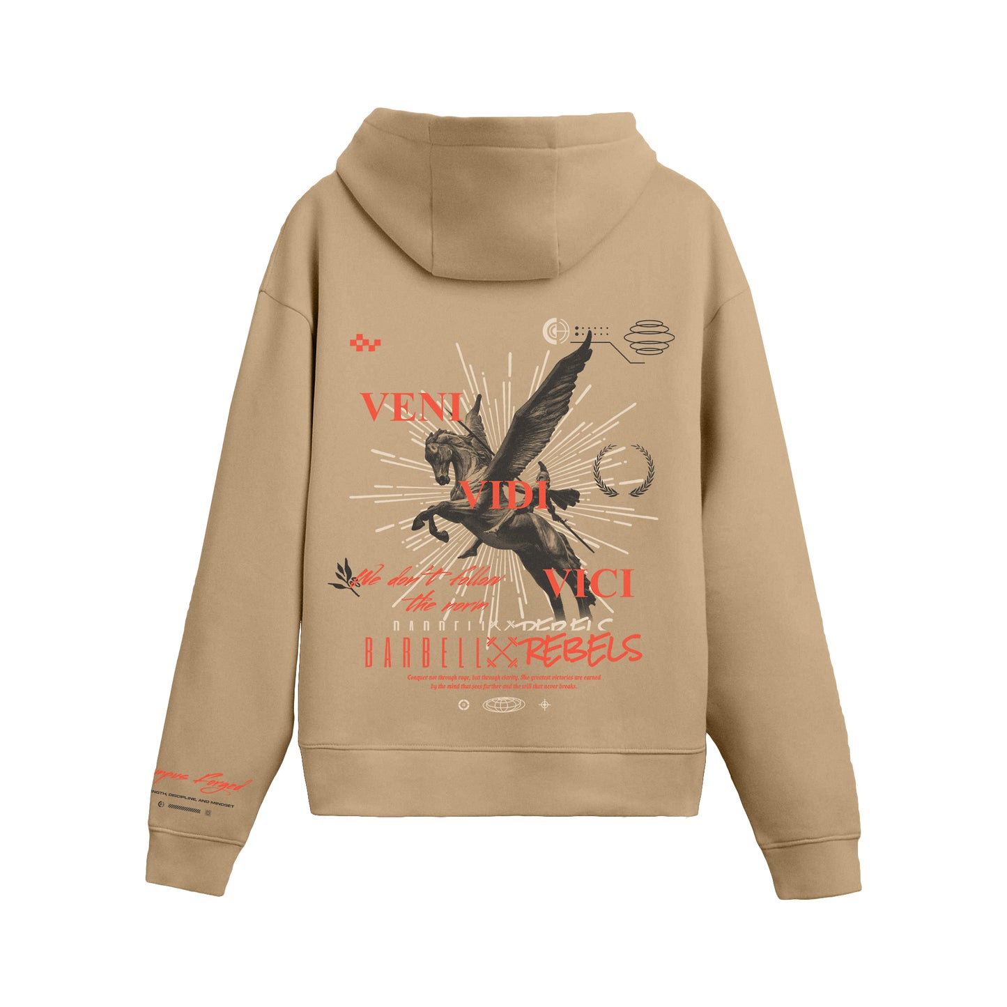 Oversized Deluxe Hoodie Olympus Collection (PRE ORDER)